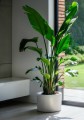  Donica z włókna szklanego 45cm-30h , Fiberglass, 95.046.45, kolor biały - 4