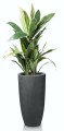 Donica z włókna ceramicznego , Ecolite, 88.006.78, kolor antracytowy - 5