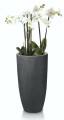  Donica z włókna ceramicznego , Ecolite, 88.006.78, kolor antracytowy - 7