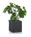  Donica z włókna ceramicznego , Ecolite, 88.008.31, kolor antracytowy - 4