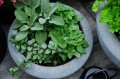  Donica z włókna ceramicznego , Ecolite, 88.024.50, kolor antracytowy - 4