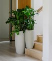  Donica z włókna ceramicznego , Ecolite, 88.059. 62, kolor szary (naturalny beton) - 3
