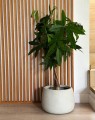  Donica z włókna ceramicznego , Ecolite, 88.063.33, kolor szary (naturalny beton) - 3