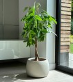  Donica z włókna ceramicznego , Ecolite, 88.063.33, kolor szary (naturalny beton) - 4