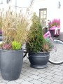  Donica z ceramiki szkliwionej , Ogrodowe szkliwione, 75.414.35, kolor antracytowy - 3