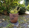  Donica z ceramiki szkliwionej , Atlantis, 76.520.30, kolor brązowy - 7