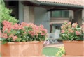  Donica z ceramiki nieszkliwionej , Tuscan, 87.601.42, kolor pomarańczowy (terakota) - 3
