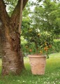  Donica z ceramiki nieszkliwionej , Tuscan, 75.212.55, kolor pomarańczowy (terakota) - 2