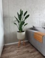  Osłonka doniczkowa z włókna ceramicznego na drewnianych nogach , Ecolite retro, 88.047.37, kolor szary - 2