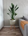 Osłonka doniczkowa z włókna ceramicznego na drewnianych nogach , Ecolite retro, 88.047.37, kolor szary - 3