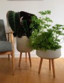  Osłonka doniczkowa z włókna ceramicznego na drewnianych nogach , Ecolite retro, 88.048.33, kolor szary - 2