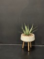  Osłonka doniczkowa z włókna ceramicznego na drewnianych nogach , Ecolite retro, 88.048.33, kolor szary - 3