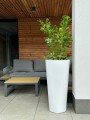  Donica z włókna szklanego , Fiberglass, 95.025.62, kolor biały - 5