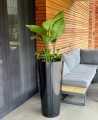  Donica z włókna szklanego , Fiberglass, 95.026.62, kolor czarny - 4