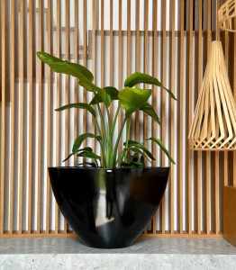 95.032.55