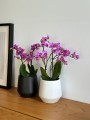  Osłonka doniczkowa z ceramiki szkliwionej  15cm-15h , Barcelona, 03.102.15, kolor czarny - 4
