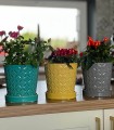  Donica z ceramiki szkliwionej 15cm-15h , Déco, 15.018.15, kolor żółty - 2
