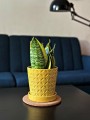  Donica z ceramiki szkliwionej 15cm-15h , Déco, 15.018.15, kolor żółty - 3