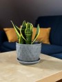  Donica z ceramiki szkliwionej 17cm-13h , Déco, 15.013.17, kolor szary - 2