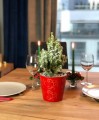 Osłonka doniczkowa z ceramiki nie szkliwionej, Christmas, 71.059.14, kolor czerwony - 2
