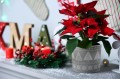  Osłonka doniczkowa ceramiczna  14cm-14h , Christmas, 35.069.14 b, kolor szary, biały, kremowy - 2