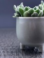 Osłonka doniczkowa z ceramiczna na nóżkach , Vintage, 05.242.11, kolor szary - 3