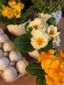  Figurka ceramiczna , Easter, 02.514.10, kolor biały - 3