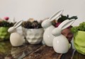  Figurka ceramiczna , Easter, 02.724.19, kolor biały - 4