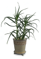   Belice - doniczka ceramiczna  , Domowe ogrody, 919.004.15, kolor kremowy - 3
