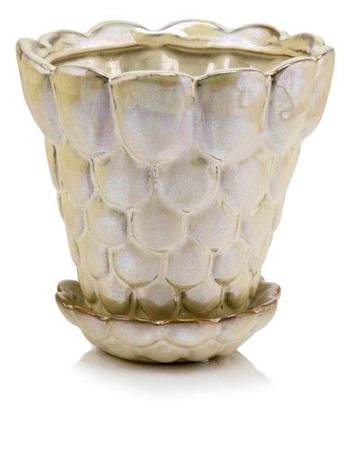   Joyeria   doniczka  , Domowe ogrody, 919.064.16, kolor krem z odcieniami brązu