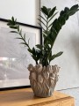   Tulipa   osłonka doniczkowa  , Domowe ogrody, 940.002.21, kolor kremowy - 3