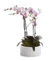  Osłonka doniczkowa ceramiczna  26cm-13h , Piano, 05.259.26, kolor biały - 5