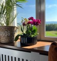  Osłonka doniczkowa ceramiczna  26cm-13h , Piano, 05.260.26, kolor czarny - 2