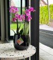  Osłonka doniczkowa ceramiczna 15cm-13h , Piano, 08.102.15, kolor czarny - 5