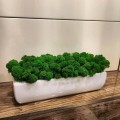  Osłonka doniczkowa ceramiczna 32x12cm-7h , Piano, 31.029.32, kolor biały - 2