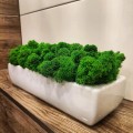  Osłonka doniczkowa ceramiczna 32x12cm-7h , Piano, 31.029.32, kolor biały - 3
