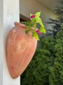  Donica ceramiczna 55x36cm-28h , Tuscan, 75.213.55, kolor pomarańczowy (terakota) - 3