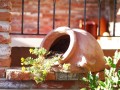  Donica ceramiczna 55x36cm-28h , Tuscan, 75.213.55, kolor pomarańczowy (terakota) - 4