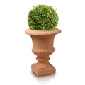  Donica ceramiczna 40cm-50h , Tuscan, 75.203.50, kolor pomarańczowy (terakota) - 6