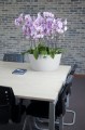  Donica ceramiczna 28m-13h , Basic, 71.024.28, kolor biały - 3