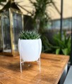  Stojak metalowy 15cm-19h , Stojaki, 05.250.19, kolor czarny - 4