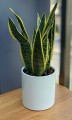 Donica ceramiczna 13cm-14h , Barcelona, 31.075.13, kolor miętowy - 3