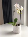  Donica ceramiczna 14cm-12h , Vintage, 05.231.14, kolor biały - 3