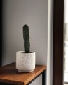  Donica ceramiczna 14cm-13h , Barcelona, 05.257.14, kolor biały - 4