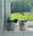  Donica ceramiczna 15cm-13h , Barcelona, 39.048.15, kolor biały - 2