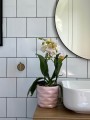  Donica ceramiczna 15cm-13h , Barcelona, 39.051.15, kolor róż pudrowy - 2