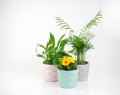  Donica ceramiczna 15cm-13h , Barcelona, 39.051.15, kolor róż pudrowy - 5