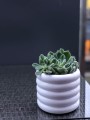 Donica ceramiczna 15cm-13h , Barcelona, 05.180.15, kolor biały - 2