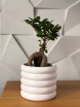  Donica ceramiczna 15cm-13h , Barcelona, 05.180.15, kolor biały - 3