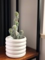  Donica ceramiczna 15cm-13h , Barcelona, 05.180.15, kolor biały - 4